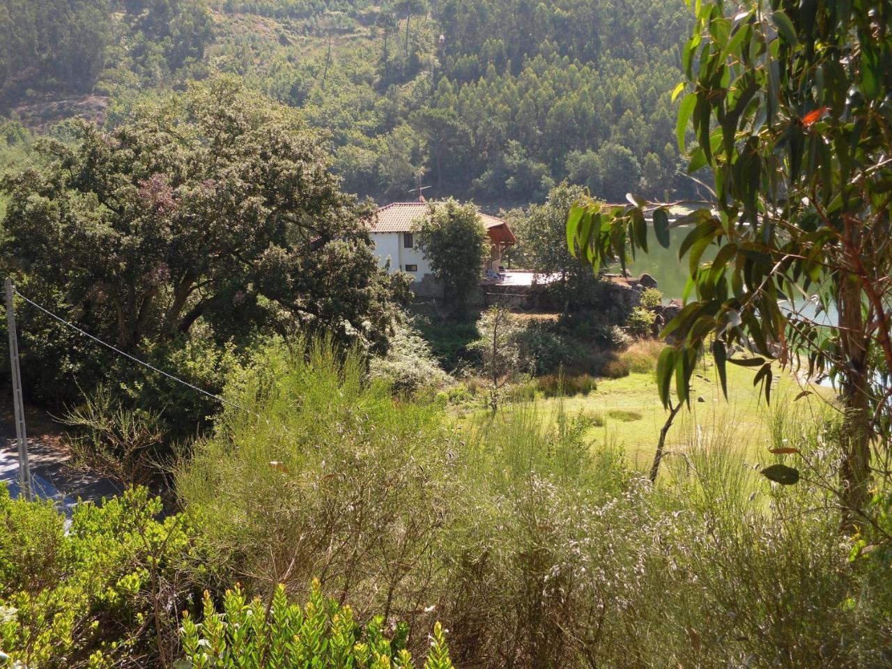 Traditional Mansion In Treixedo With Swimming Pool Екстер'єр фото
